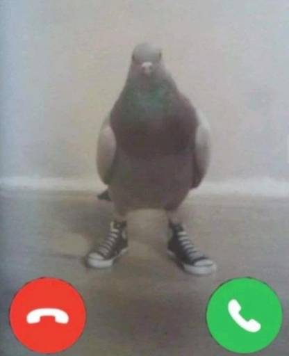 17601