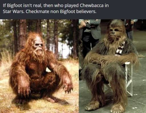 17620