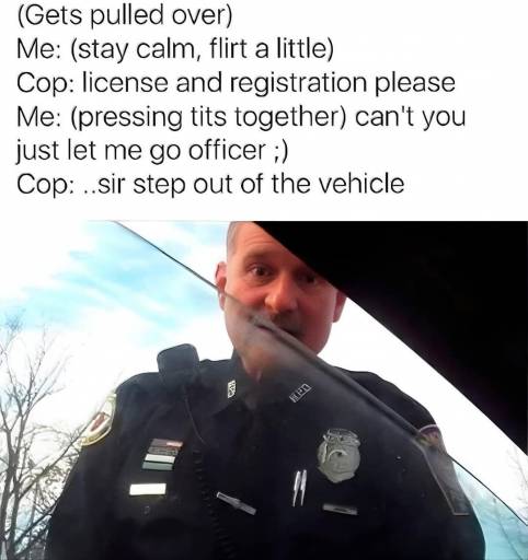 17627