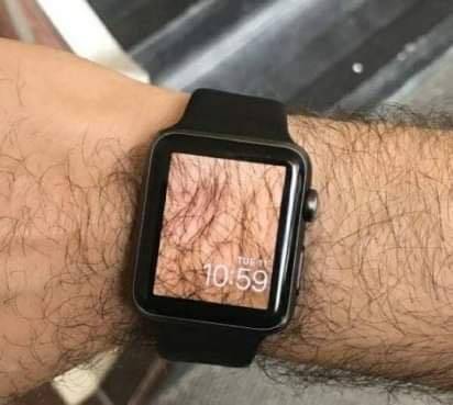 17658