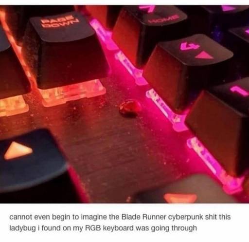 17707