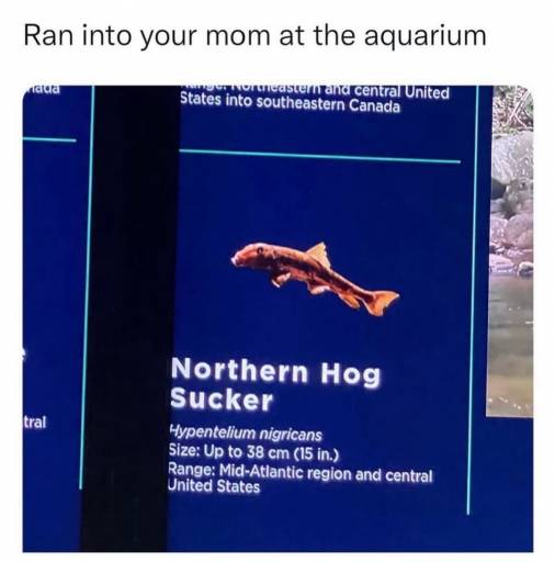 17710