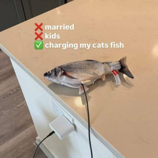 17716