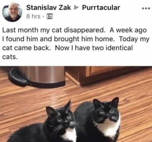17720