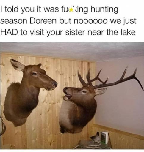17723