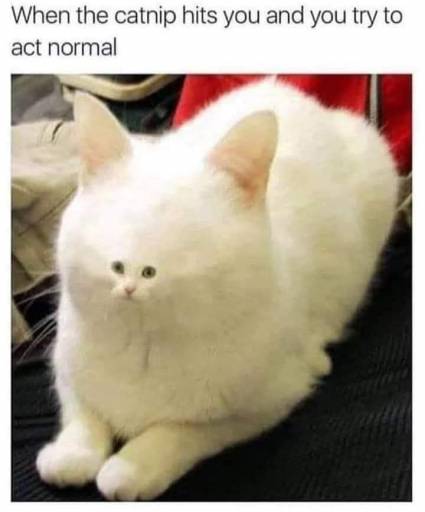 17730