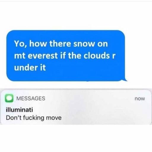 17733