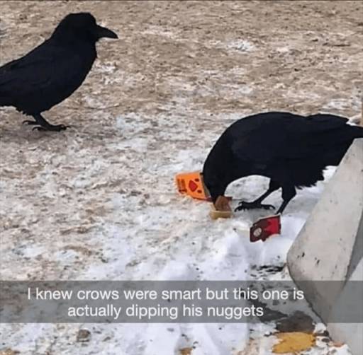 17740