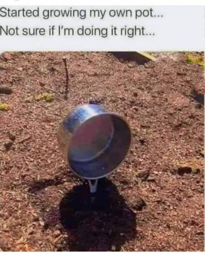 17750
