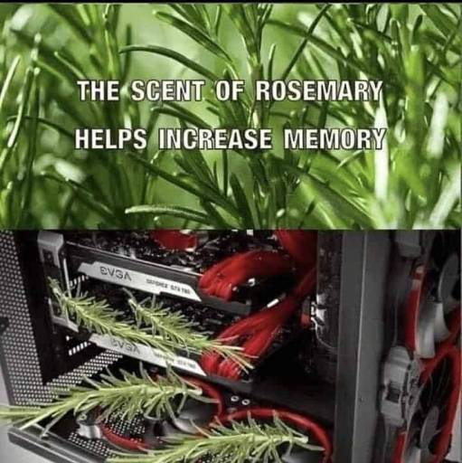 17754
