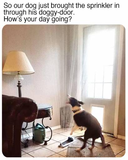 17762