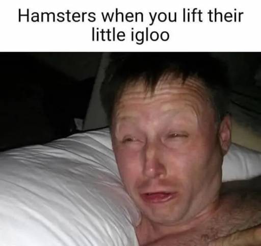 17773