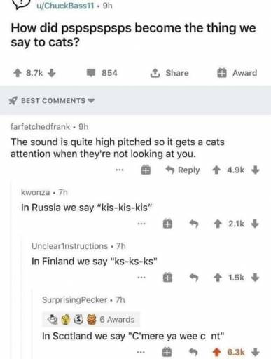 17802
