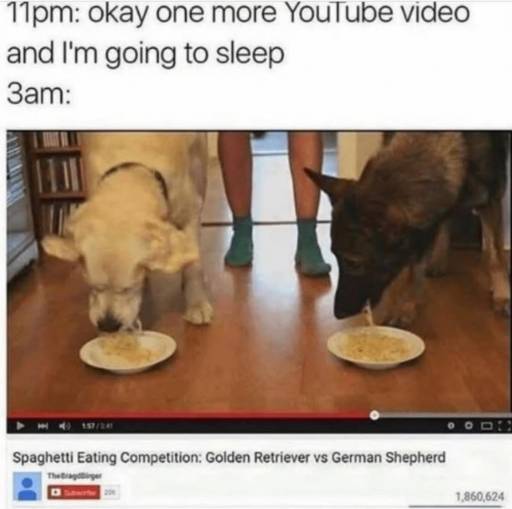 17806