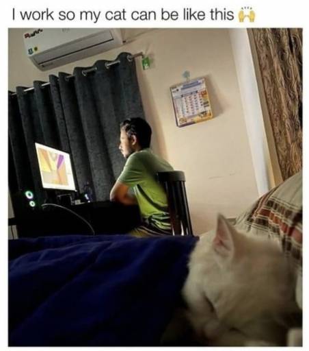 17808