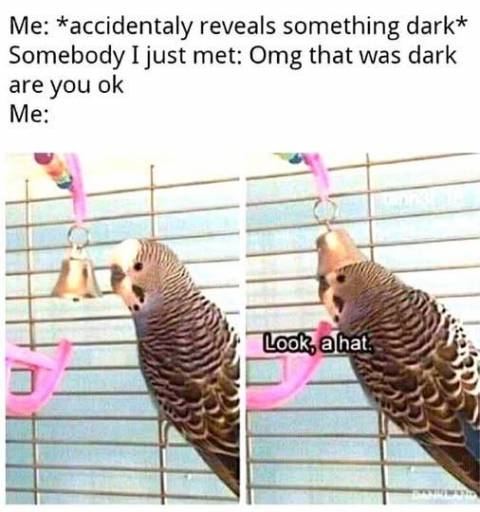 17832