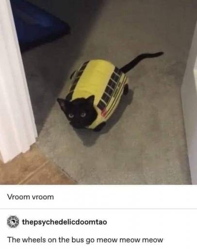 17854