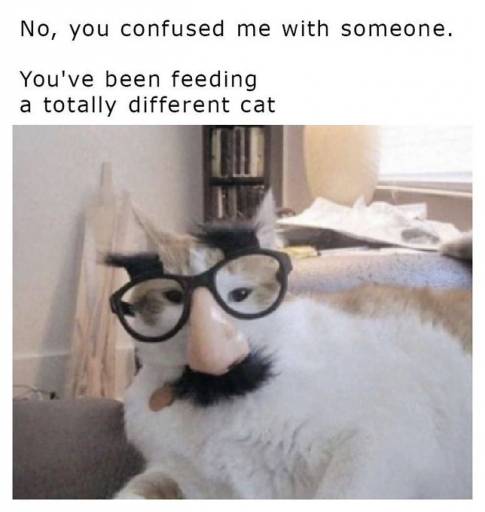 17859