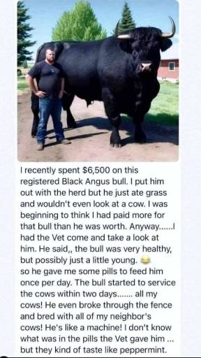 17874