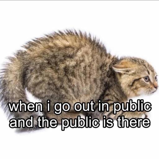 17967
