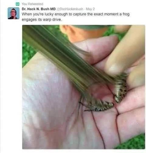 18129