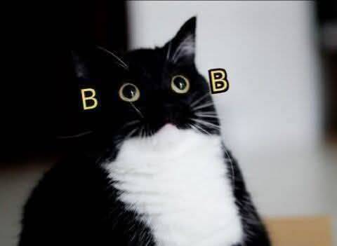 18212