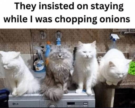 18228