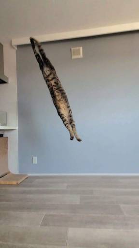 18249
