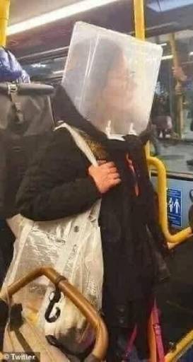 18263