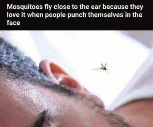 18296