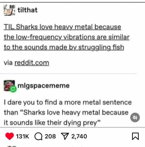 18393