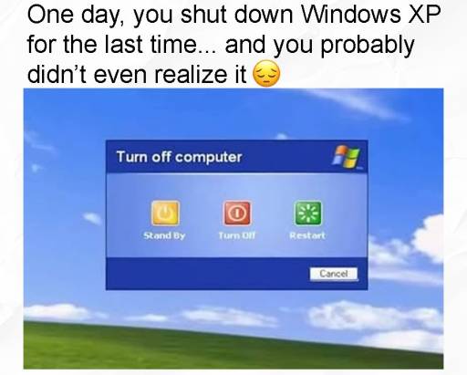 18407