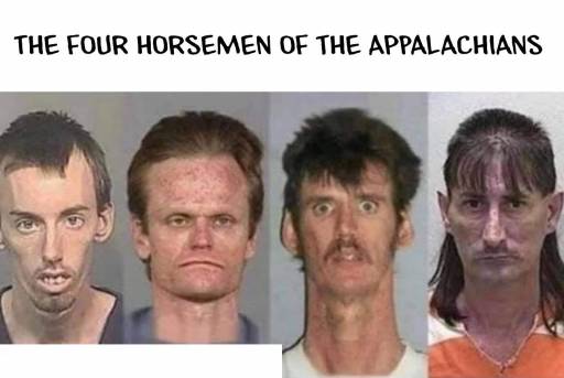 18455