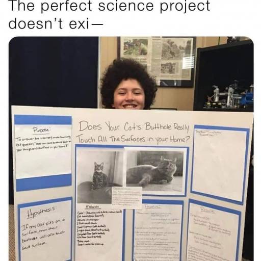 18458