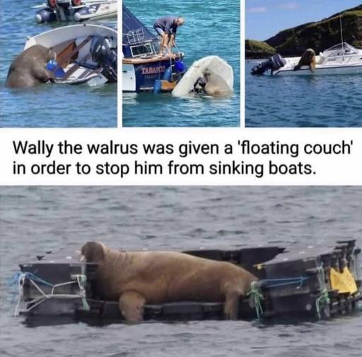 18477