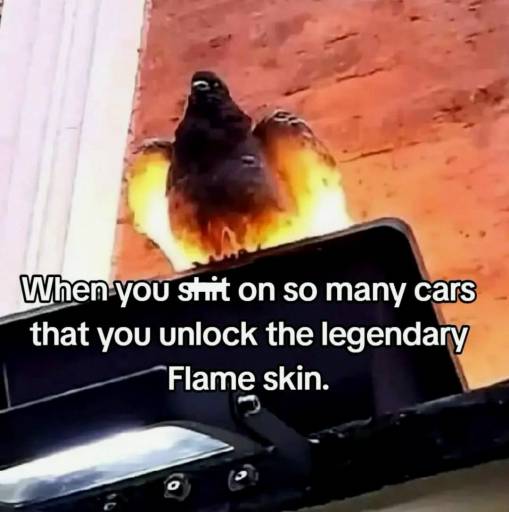 18491