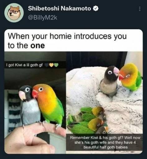 18493