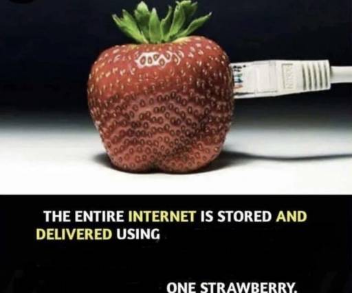 18495