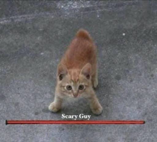 18519