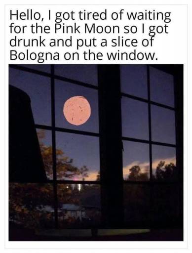 18568