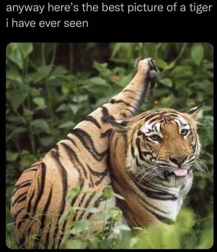 18595