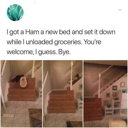 18720