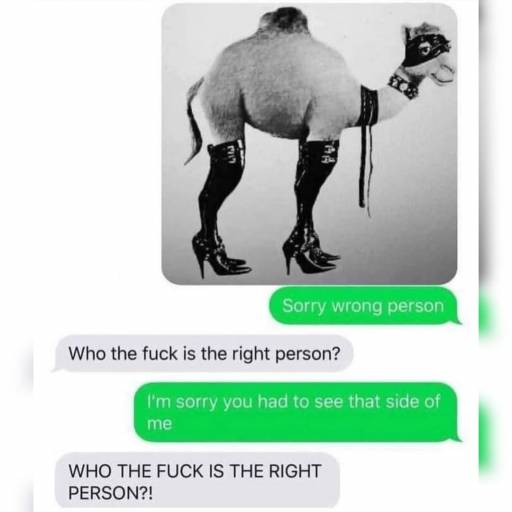 18778