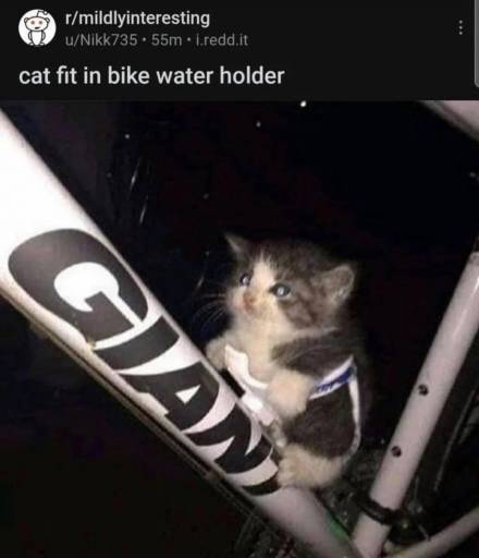19053