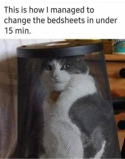 19056