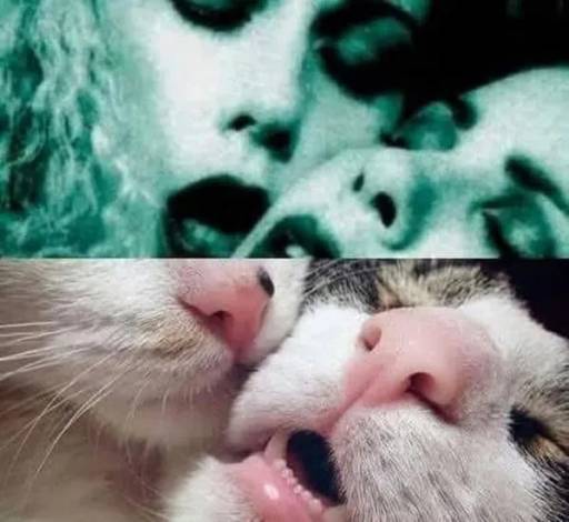 19209