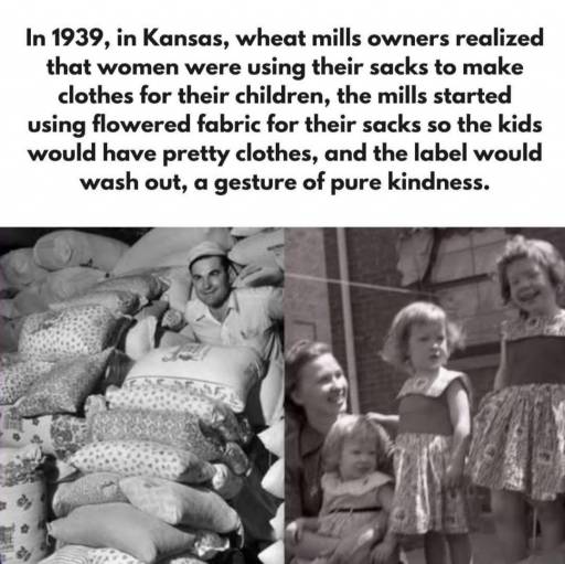 19295