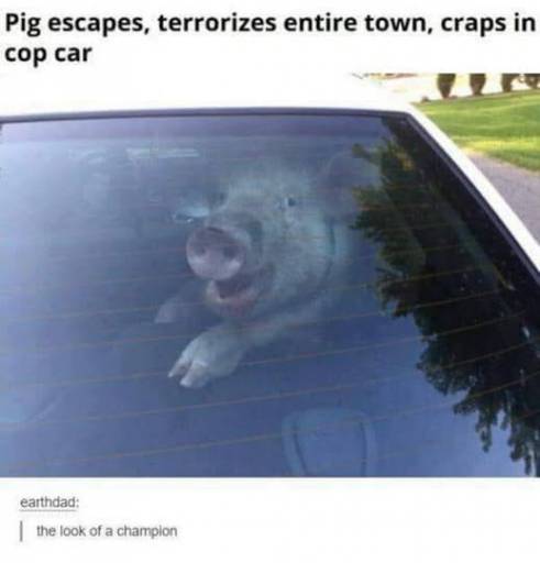 19298