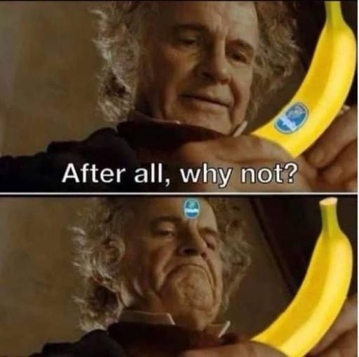 19306