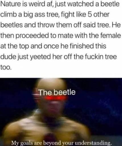 19327